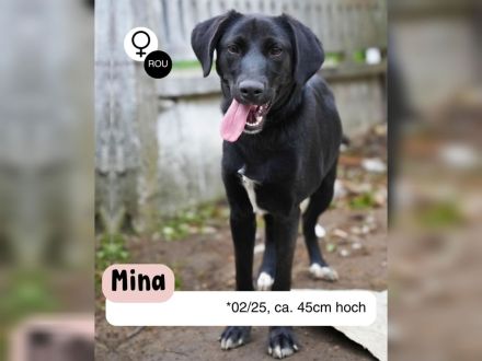 MINA möchte frei sein!