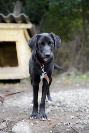 MINA möchte frei sein!