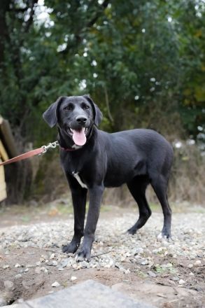 MINA möchte frei sein!