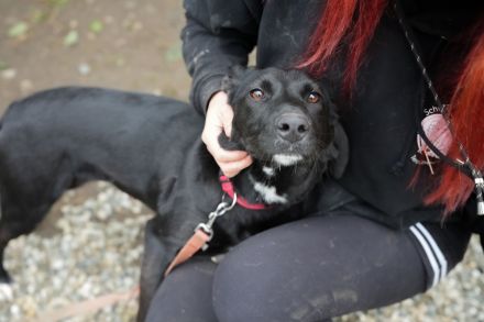 MINA möchte frei sein!