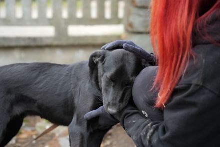 MINA möchte frei sein!