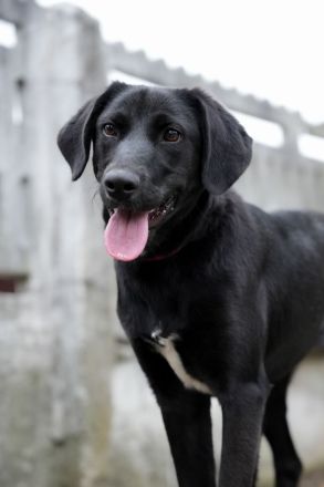 MINA möchte frei sein!