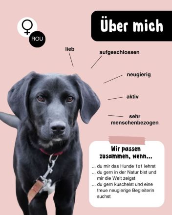 MINA möchte frei sein!