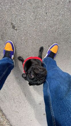 Pumba sucht ein neues Zuhause!