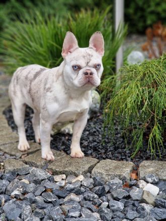 Skey steht für Deckungen zur Verfügung