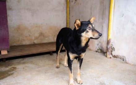 Bescheidene Luddu hofft auf eine bessere Zukunft