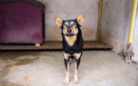 Bescheidene Luddu hofft auf eine bessere Zukunft