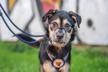 Wer möchte mit Puri durchs Leben gehen?