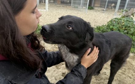 Ivy - voller Energie und Lebensfreude!