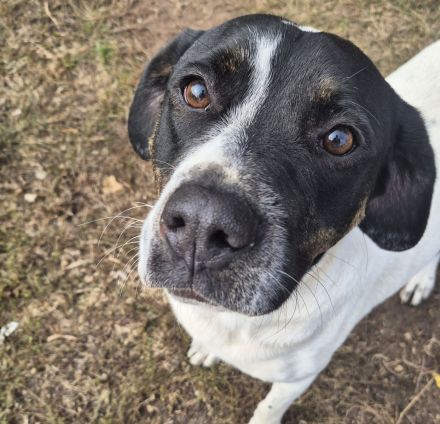 EMIL sucht eine liebe Familie