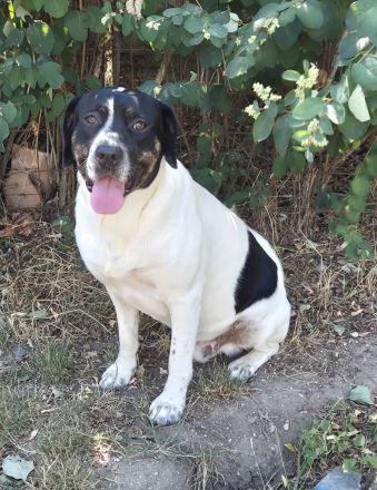 EMIL sucht eine liebe Familie