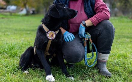 Sicherheit und Orientierung für Keesha