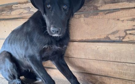 Sicherheit und Orientierung für Keesha