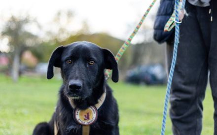 Sicherheit und Orientierung für Keesha