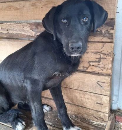 Sicherheit und Orientierung für Keesha