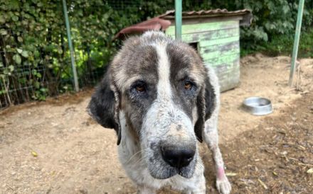 Sanfter Riese Clooney hofft auf seine zweite Chance