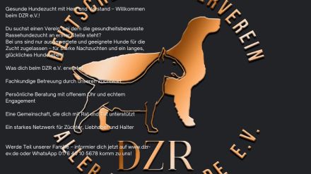 Werde Teil von uns !