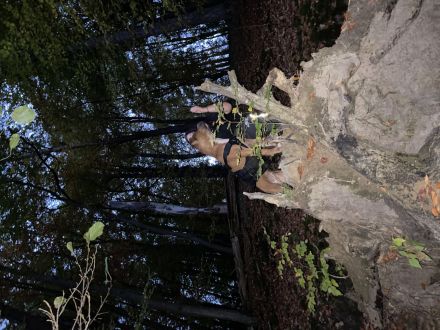 Dringend!! Abzugeben