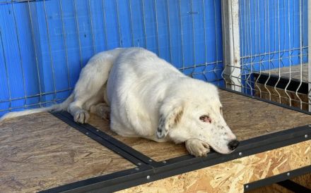 Christine - sanfte Seele mit Sommersprossen