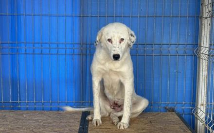 Christine - sanfte Seele mit Sommersprossen