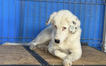 Christine - sanfte Seele mit Sommersprossen