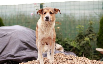 Lass dich von Ira's Wesen verzaubern