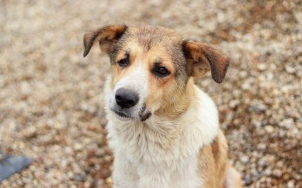 Lass dich von Ira's Wesen verzaubern