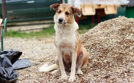 Lass dich von Ira's Wesen verzaubern