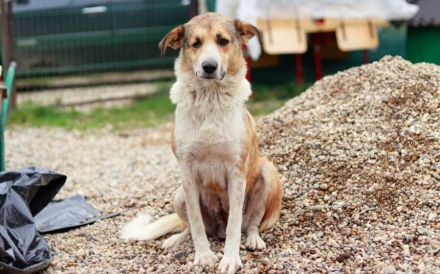 Lass dich von Ira's Wesen verzaubern