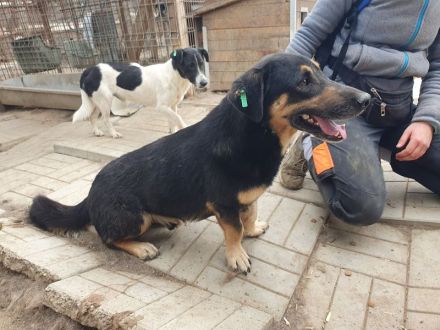 Paule, eine kleine richtige Persönlichkeit – charmant, offen und selbstbewusst, 3 Jahre, 38 cm