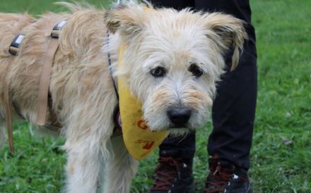 Senior Erwin sucht warmes Plätzchen