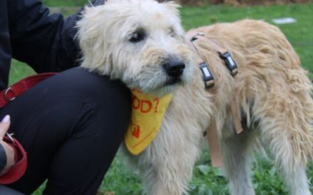 Senior Erwin sucht warmes Plätzchen