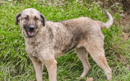 Skipper sucht ihr Glück