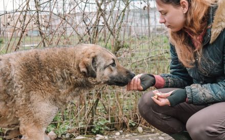 Skipper sucht ihr Glück