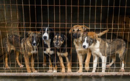 Feynas Zukunft startet JETZT mit dir!