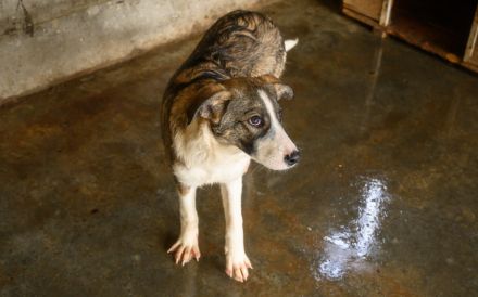 Feynas Zukunft startet JETZT mit dir!