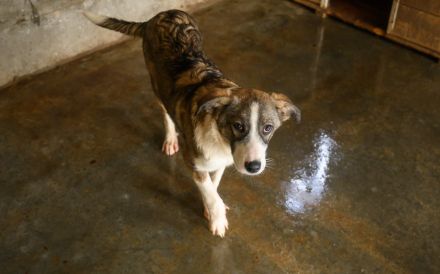 Feynas Zukunft startet JETZT mit dir!