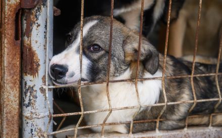 Feynas Zukunft startet JETZT mit dir!