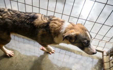 Feynas Zukunft startet JETZT mit dir!