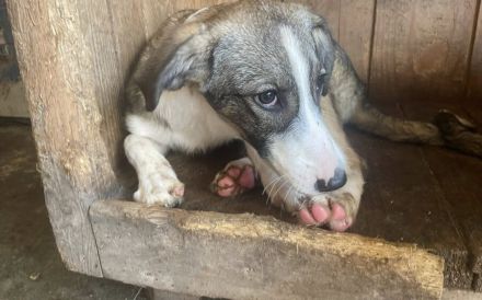 Feynas Zukunft startet JETZT mit dir!