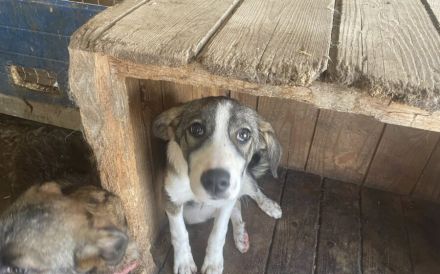 Feynas Zukunft startet JETZT mit dir!