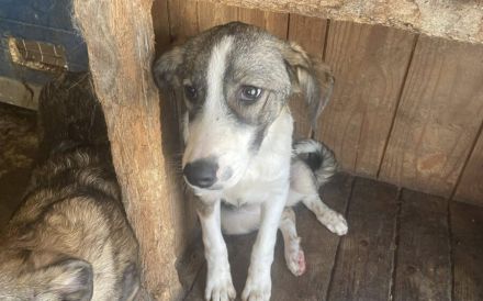 Feynas Zukunft startet JETZT mit dir!