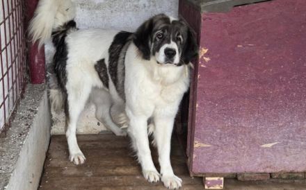 Tela braucht neues Vertrauen in uns Menschen