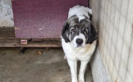 Tela braucht neues Vertrauen in uns Menschen