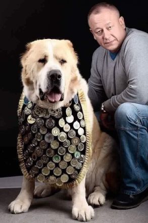 Mittelasiatische Owtscharka