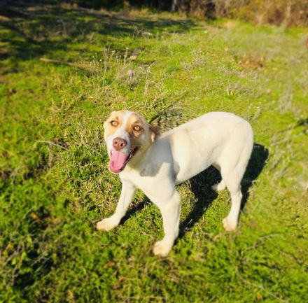 Leonie ein verschmustes Mädchen
