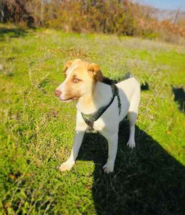 Leonie ein verschmustes Mädchen