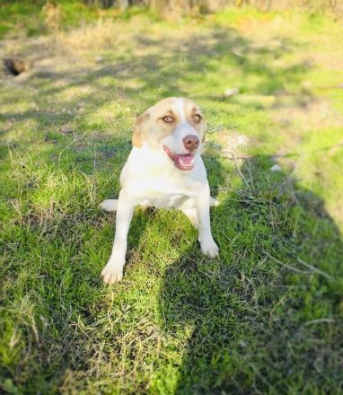 Leonie ein verschmustes Mädchen