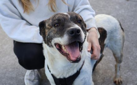 Gutmütiger Goethe sucht seine Menschen