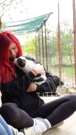 Welpe COSMO möchte das Leben kennenlernen